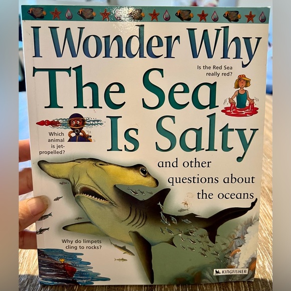 Set of 5 “I Wonder Why” Children’s Books from 2003 & 2004, Kingfisher. - Picture 3 of 10